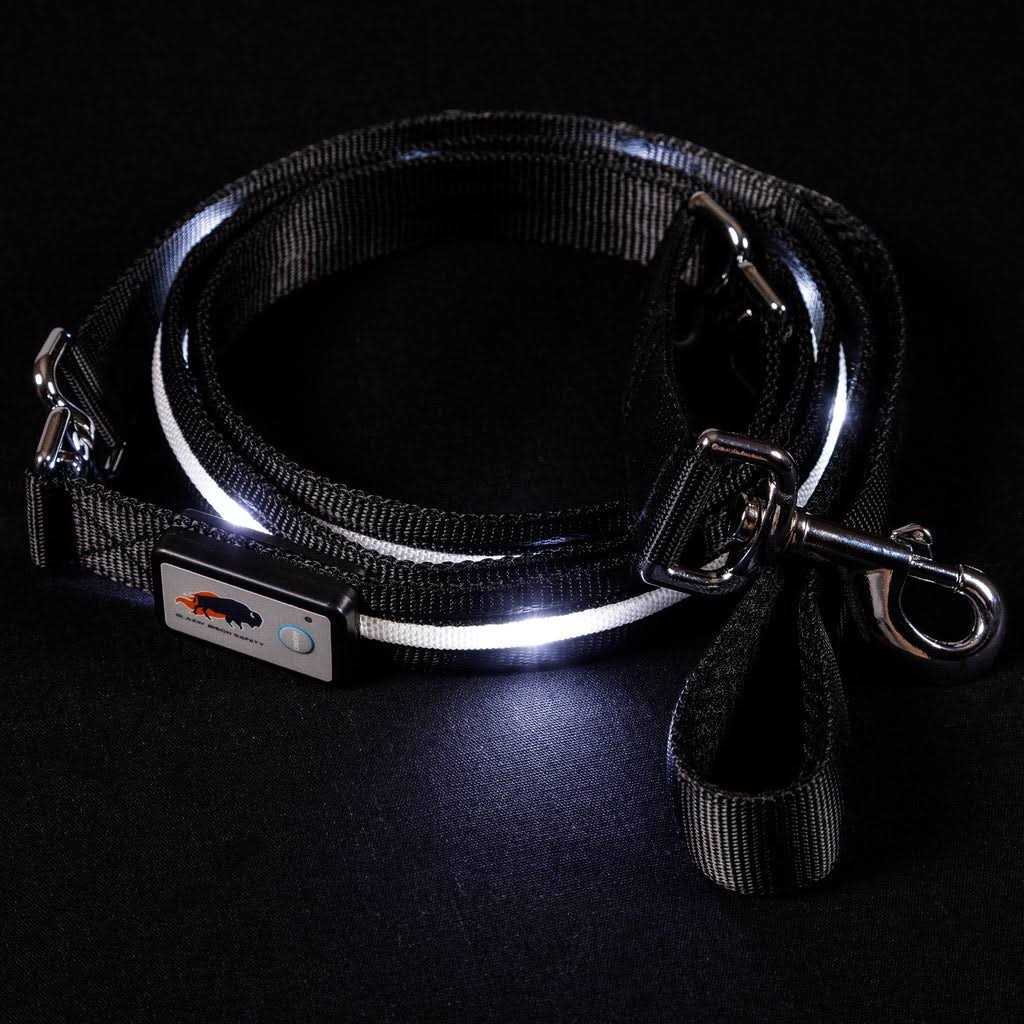 LED USB Rechargeable Dog Leash Y581774