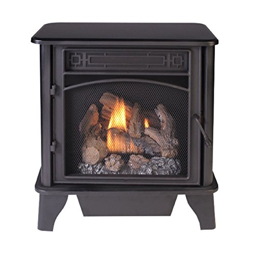 Black Dual Fuel Gas Stove with Remote Control Y9152