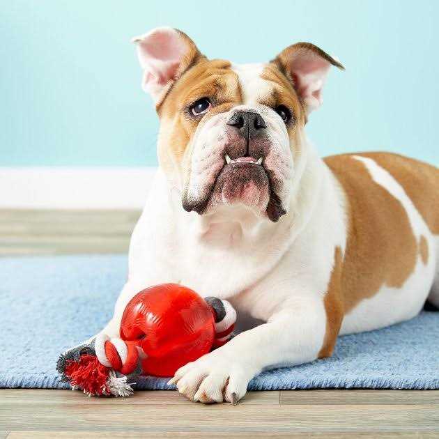 Strong Ball with Rope R320