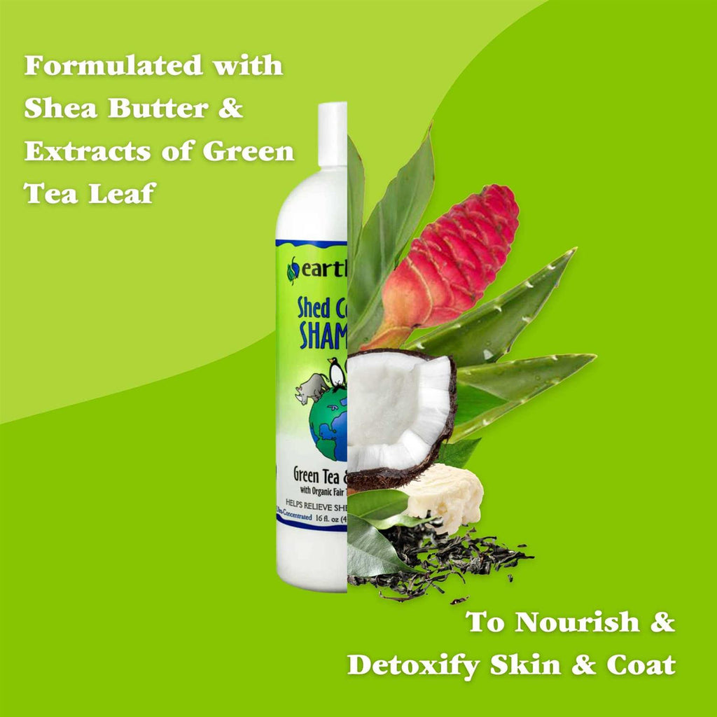 Green Tea & Awapuhi Shed Control Shampoo E86270