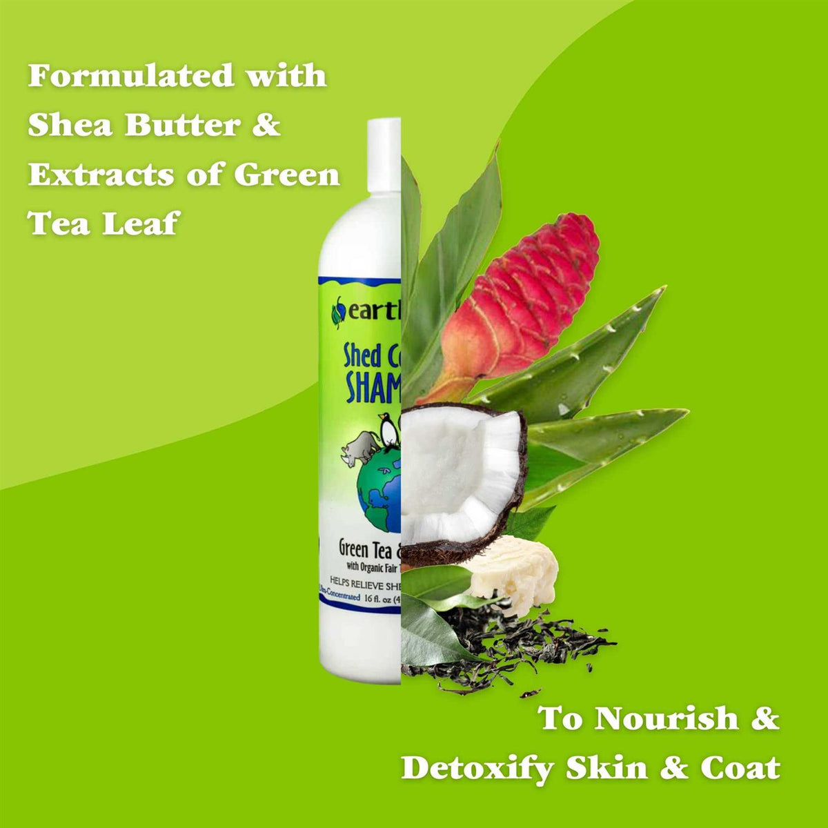 Green Tea & Awapuhi Shed Control Shampoo E86270