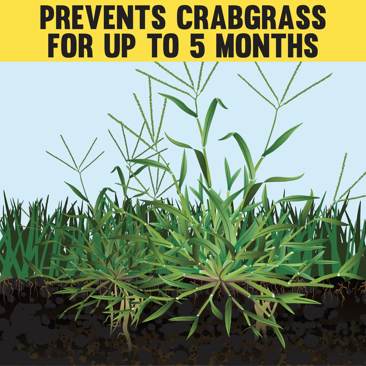 12 lb. Lawn Fertilizer 18-0-1 U5089