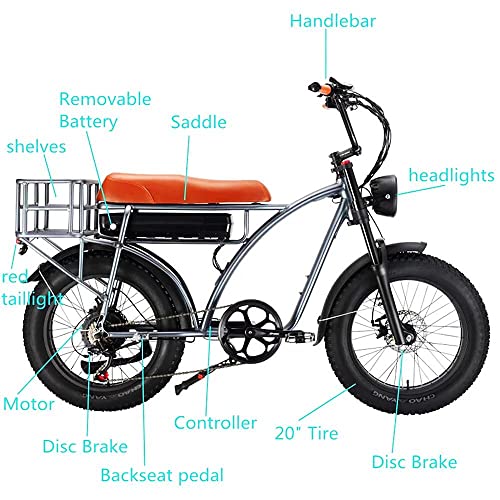 Dual Motor 2000W Retro Two-Person Electric Bicycle, 7-Speed 20" Tire 48V 18Ah E-Bike with Rear Turn Signal Y869381