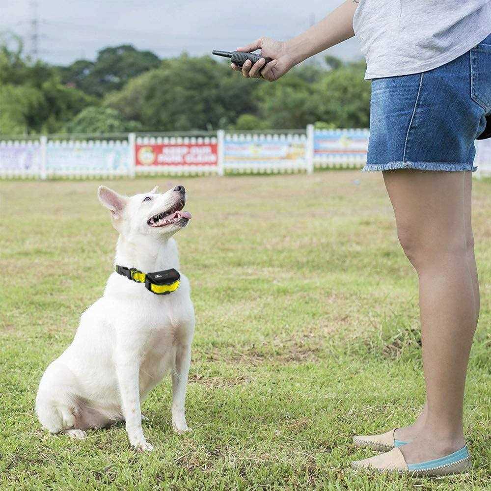 Dog Training Shock Collar with Remote J962