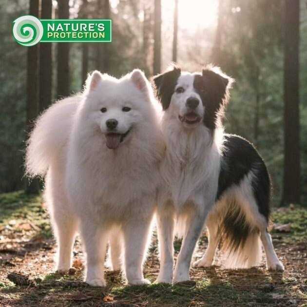 Grain Free White Small Breed Adult Dry Dog Food I463534