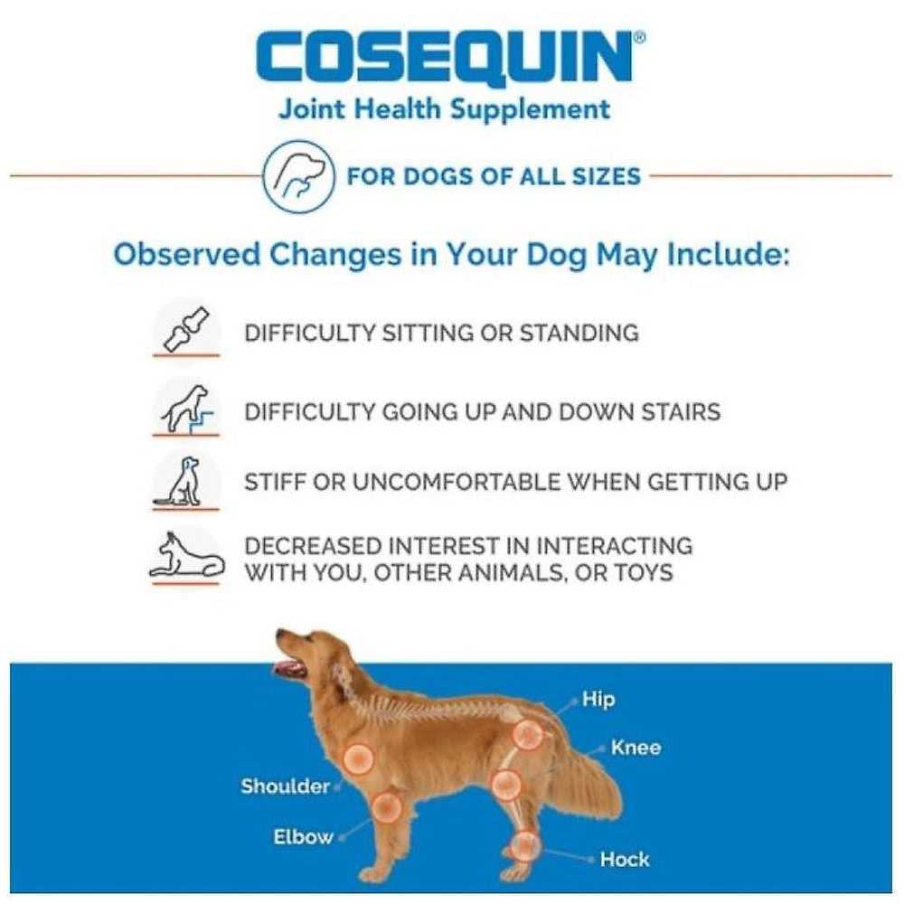 Dog Joint Health Supplement V443785