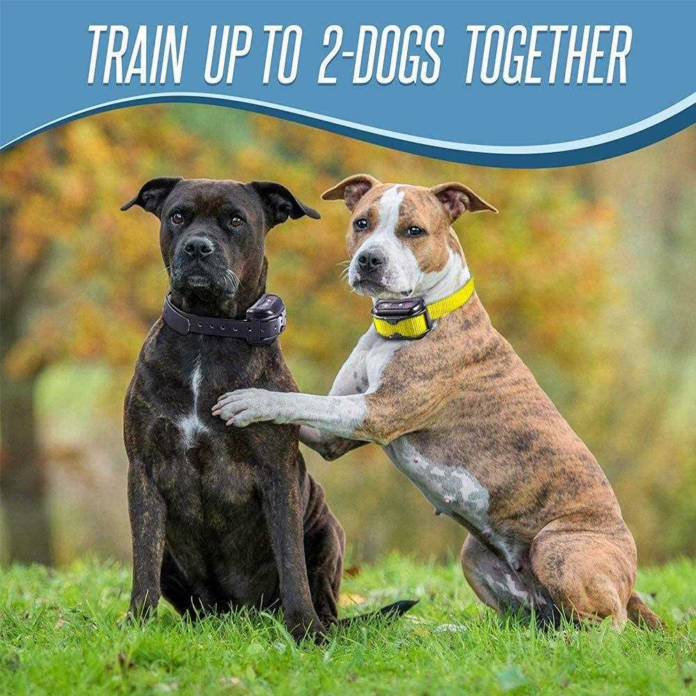 Dog Training Shock Collar with Remote J962