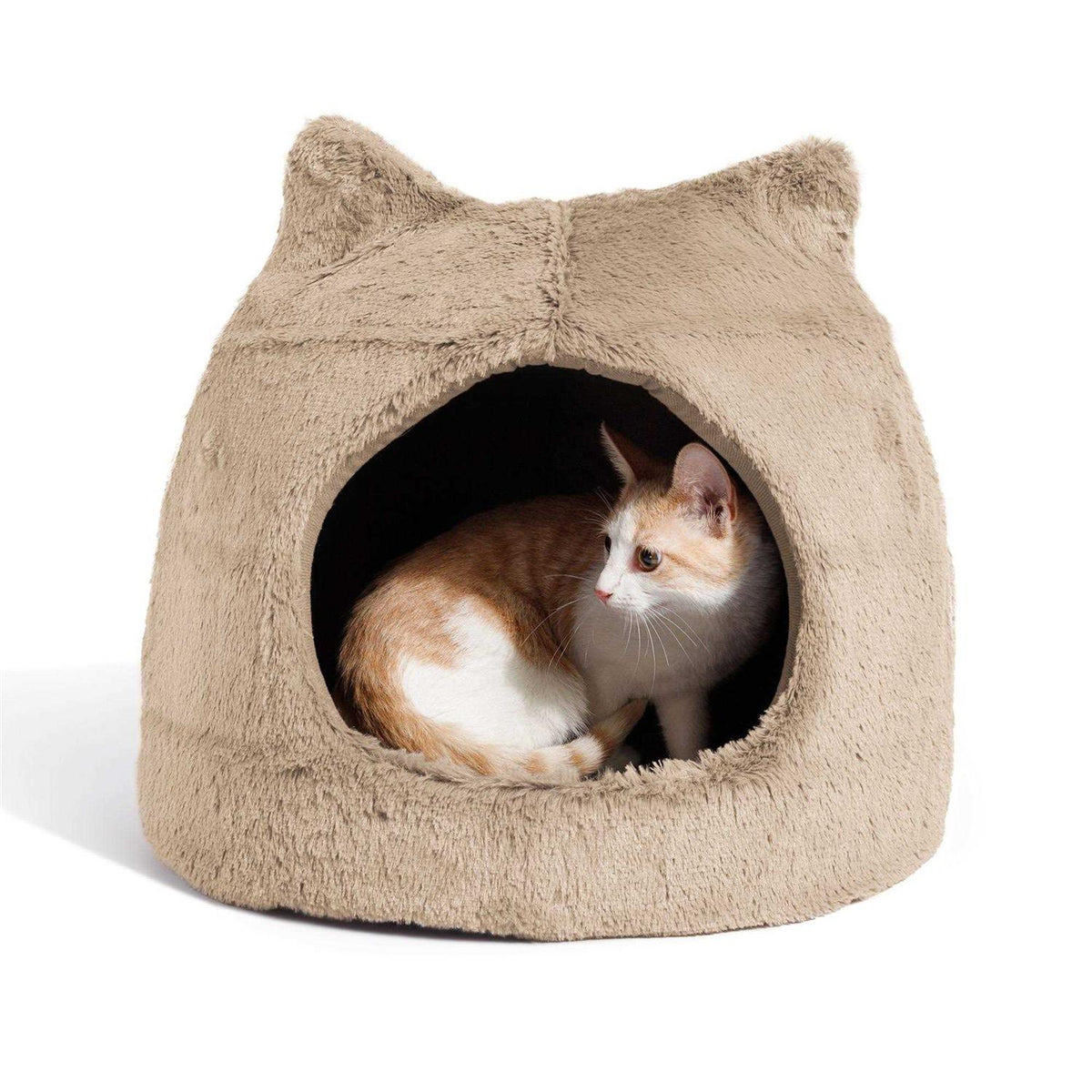 Pet Supplies I374499
