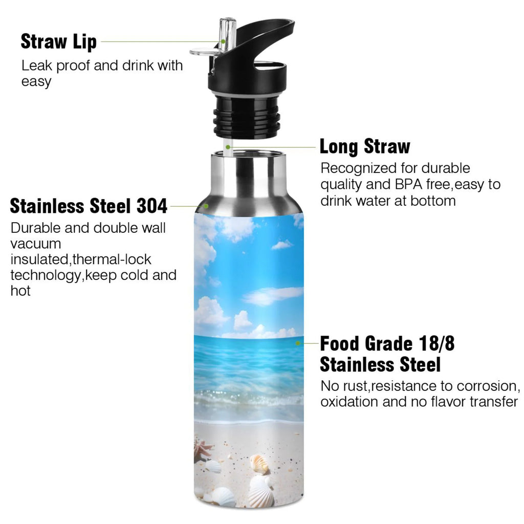 Insulated Stainless Steel Water Bottle with Straw Lid, 20 oz F73560