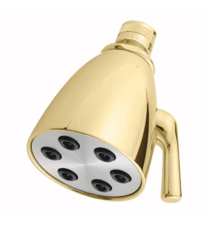 Polished Brass Showerhead E653079