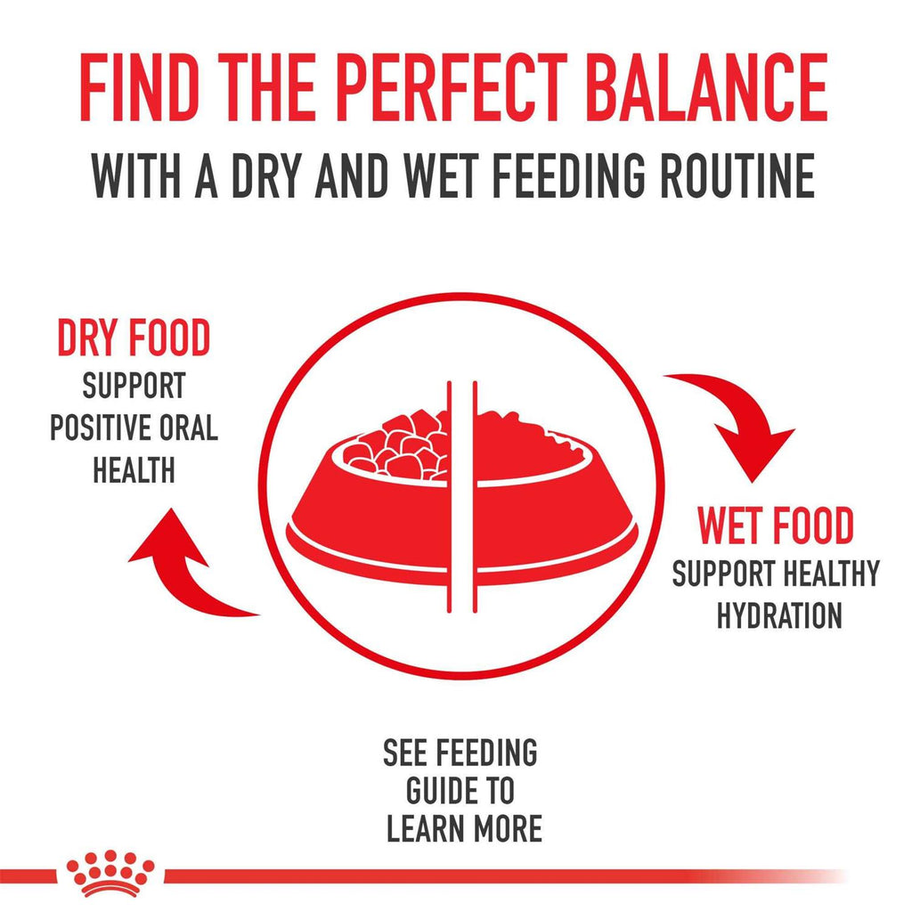 Adult Dry Dog Food O4291