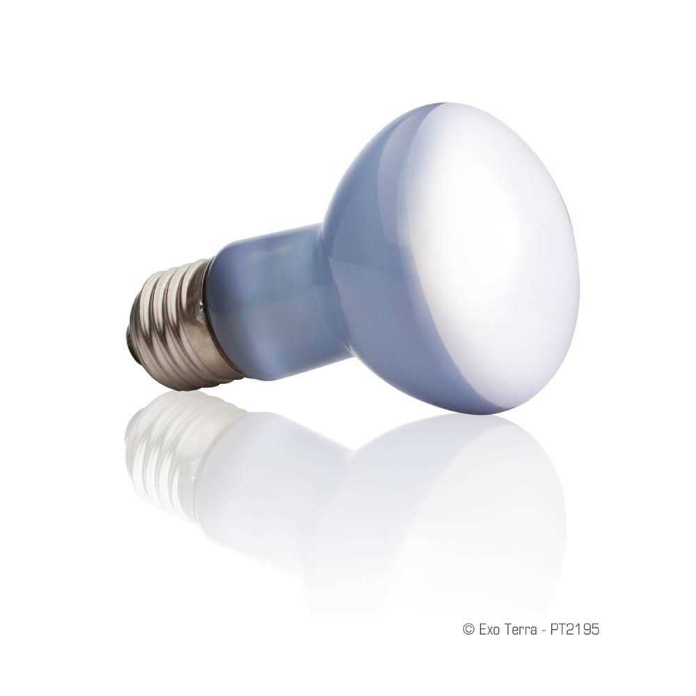 Daylight Basking Spot Lamp A45911