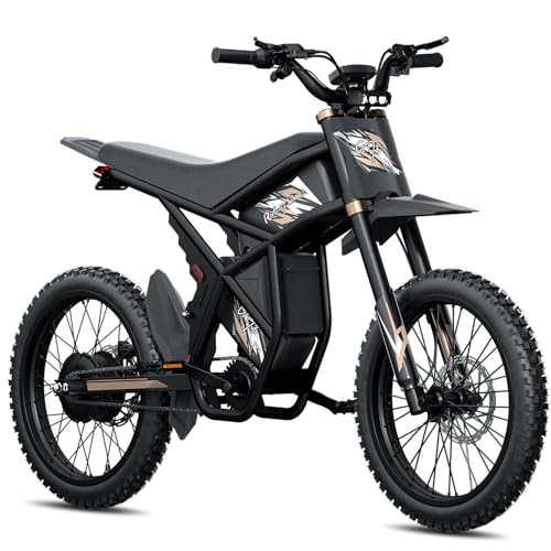 2500W Electric Dirt Bike with Removable Batteries S1509