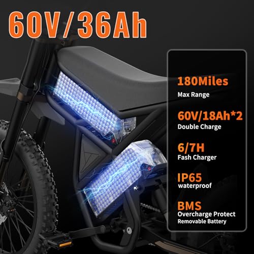 2500W Electric Dirt Bike with Removable Batteries S1509