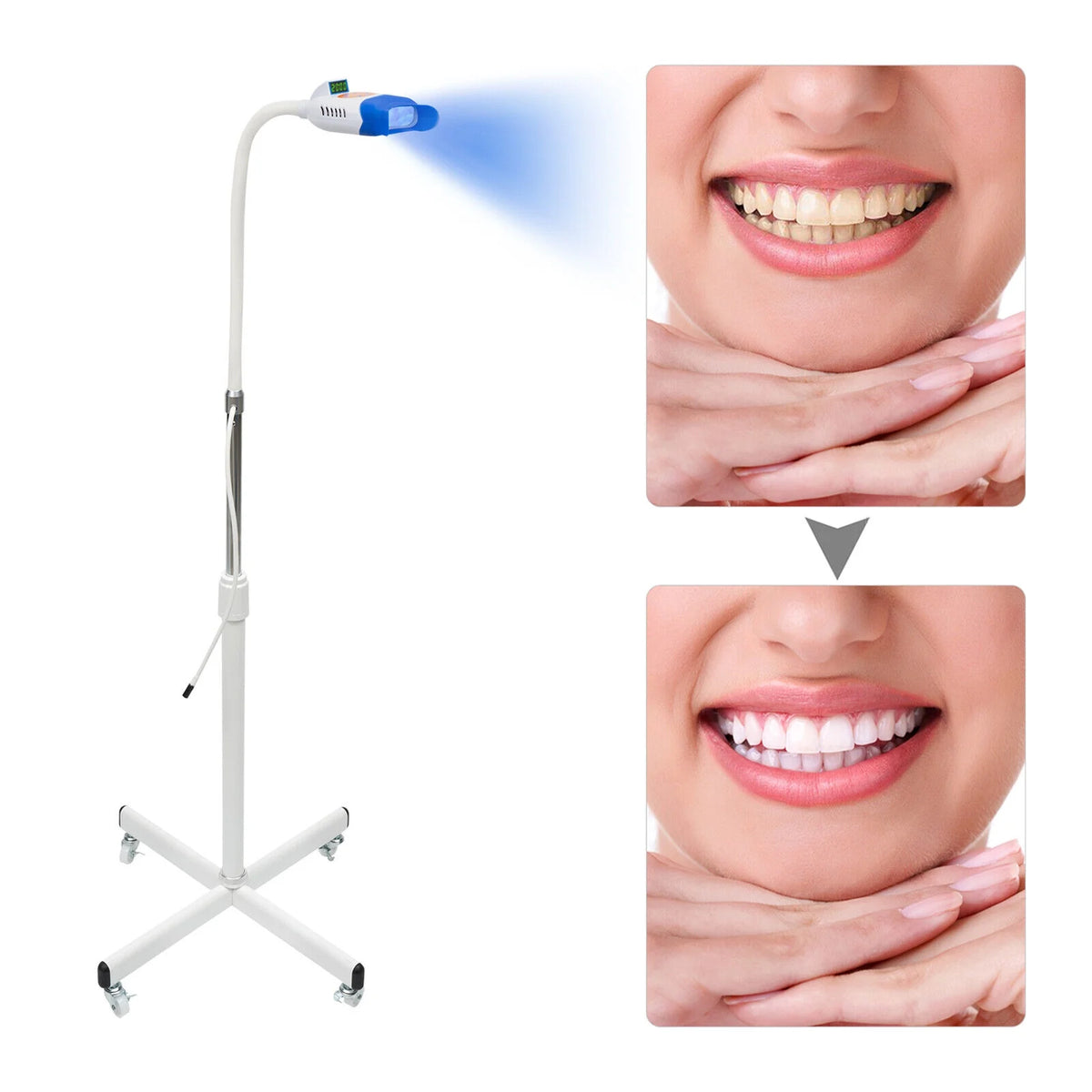 36W LED Teeth Whitening Machine with 10 Tubes B412642