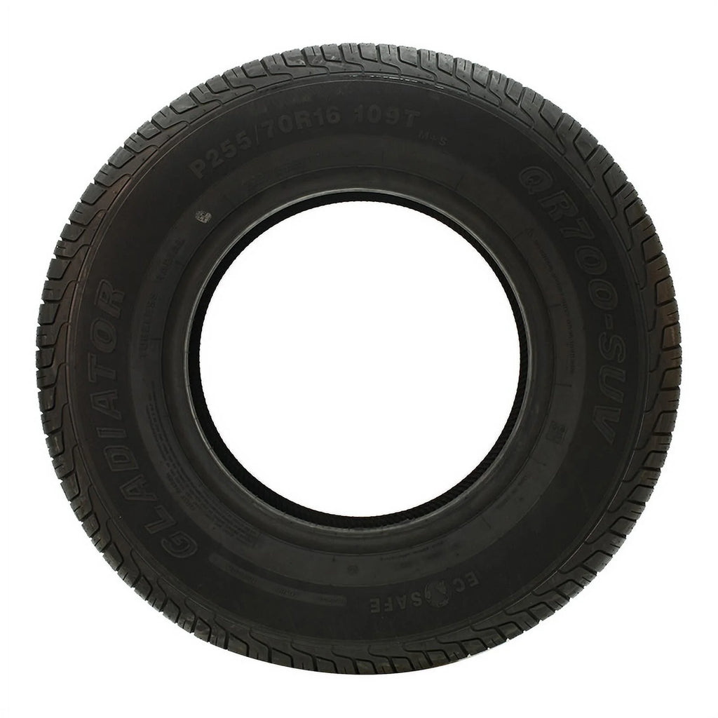 All Season P255/60R19 109H Tire P6250