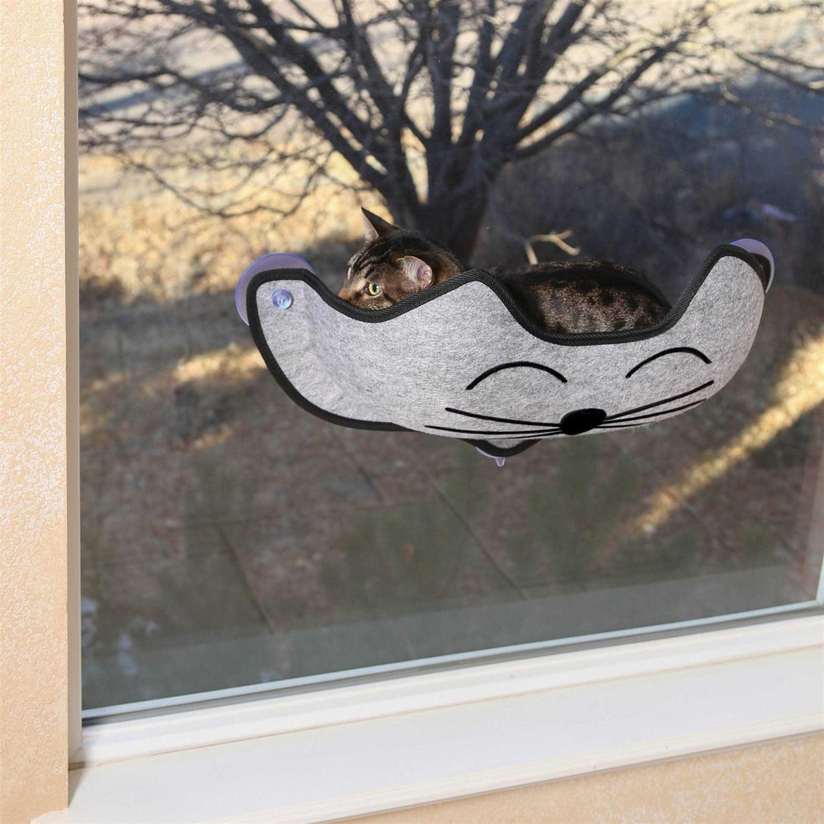 Window Pet Bed Z5043