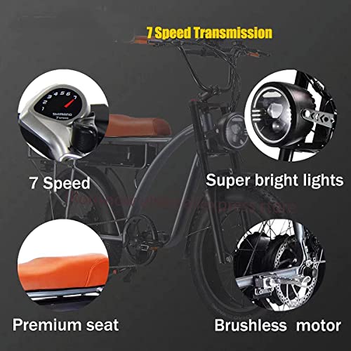 Dual Motor 2000W Retro Two-Person Electric Bicycle, 7-Speed 20" Tire 48V 18Ah E-Bike with Rear Turn Signal Y869381