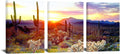 3 Piece Saguaro Cactus Canvas Wall Art Sunset at Arizona Sonoran Desert Landscape Painting Print F5463