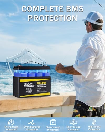12V 100Ah LiFePO4 Lithium Battery with 100A BMS, 1280Wh Energy Storage, Iron Phosphate 15000 Deep Cycles Marine Battery W486818