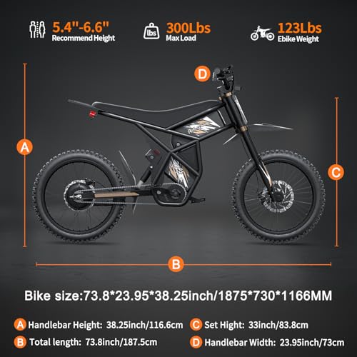 2500W Electric Dirt Bike with Removable Batteries S1509