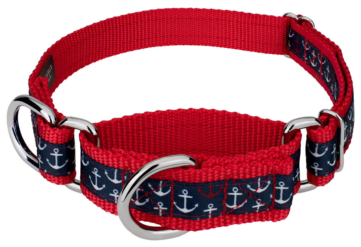 Large Martingale Dog Collar A674925