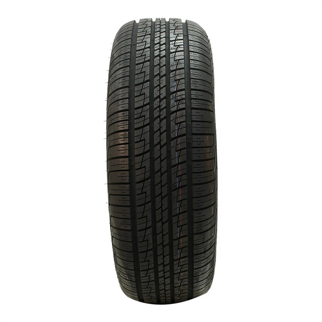 All Season P255/60R19 109H Tire P6250