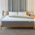 Queen 10 inch Memory Foam Mattress B24967
