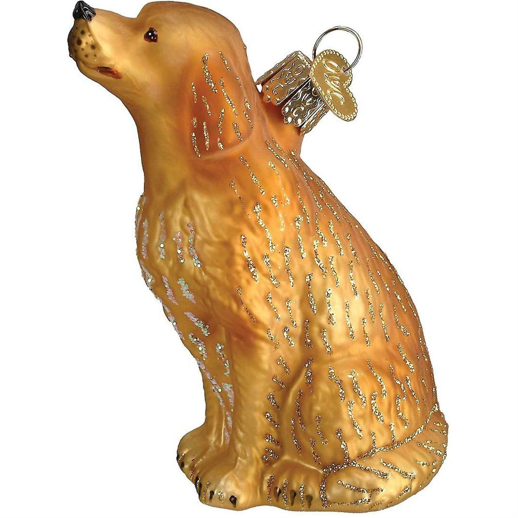 Soft Chew Dog Treats Training Bites G32977