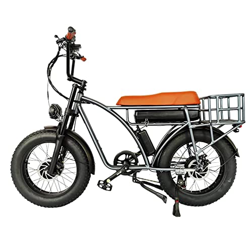 Dual Motor 2000W Retro Two-Person Electric Bicycle, 7-Speed 20" Tire 48V 18Ah E-Bike with Rear Turn Signal Y869381