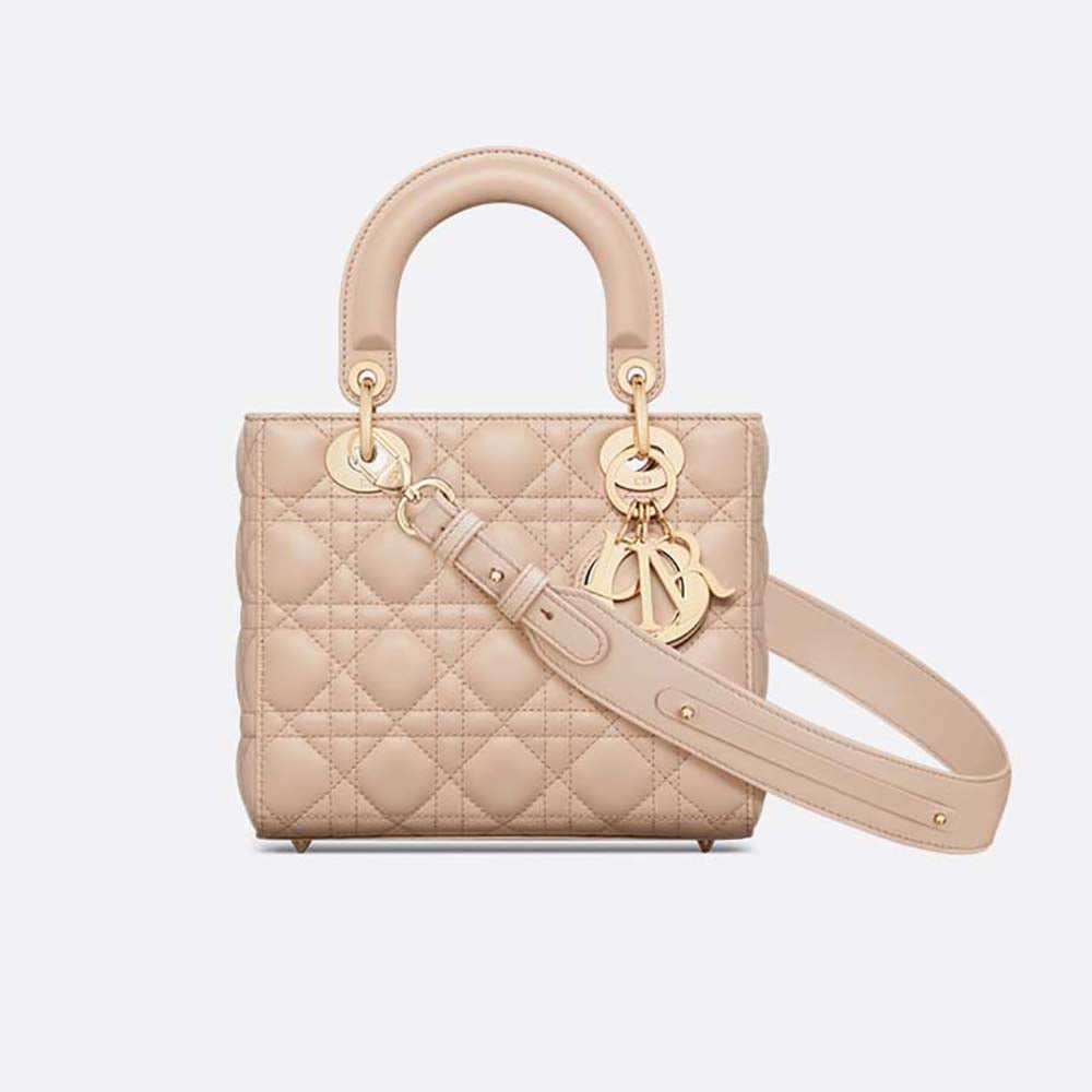 Lady Dior Bag E873