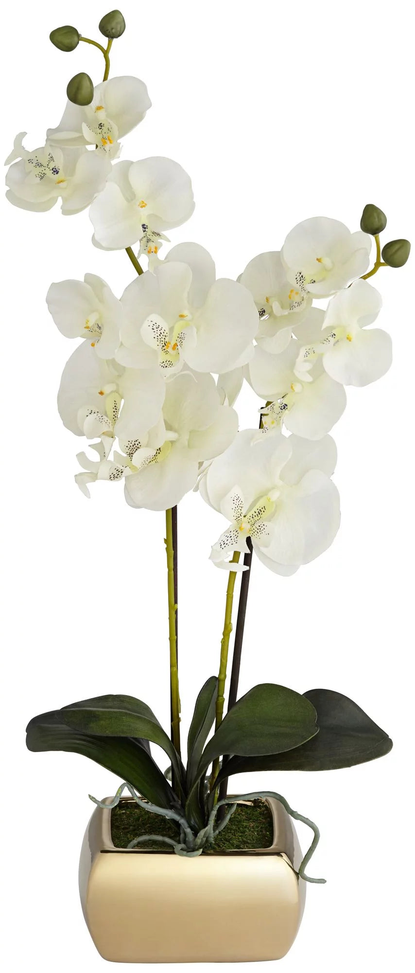 White Artificial Orchid in Gold Ceramic Pot 22" V976