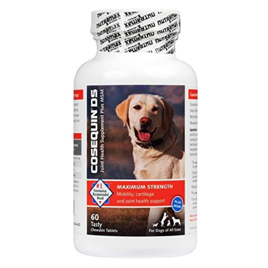 Dog Joint Health Supplement V443785