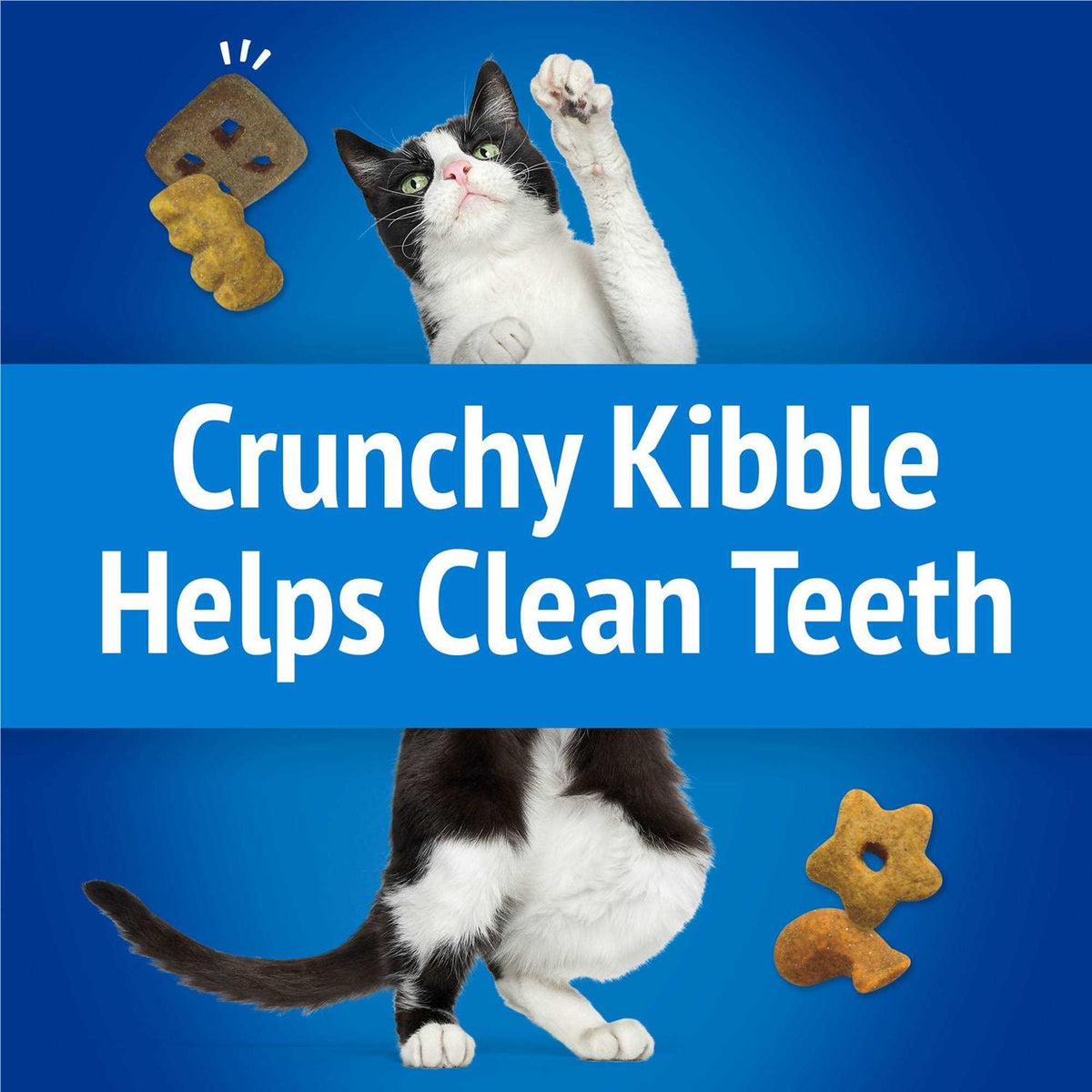 Cat Treats Party Mix Crunch A4689