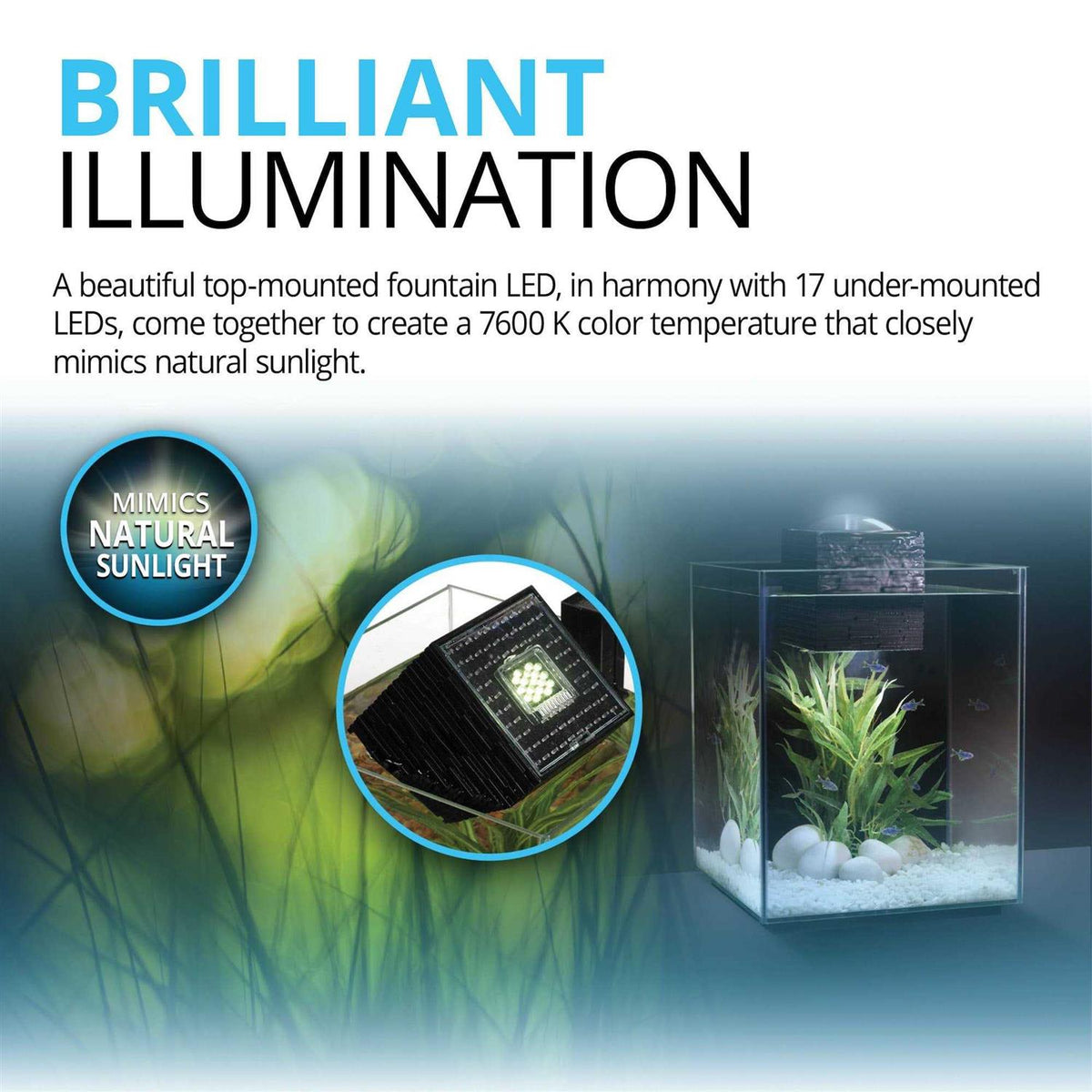 Aquarium H278
