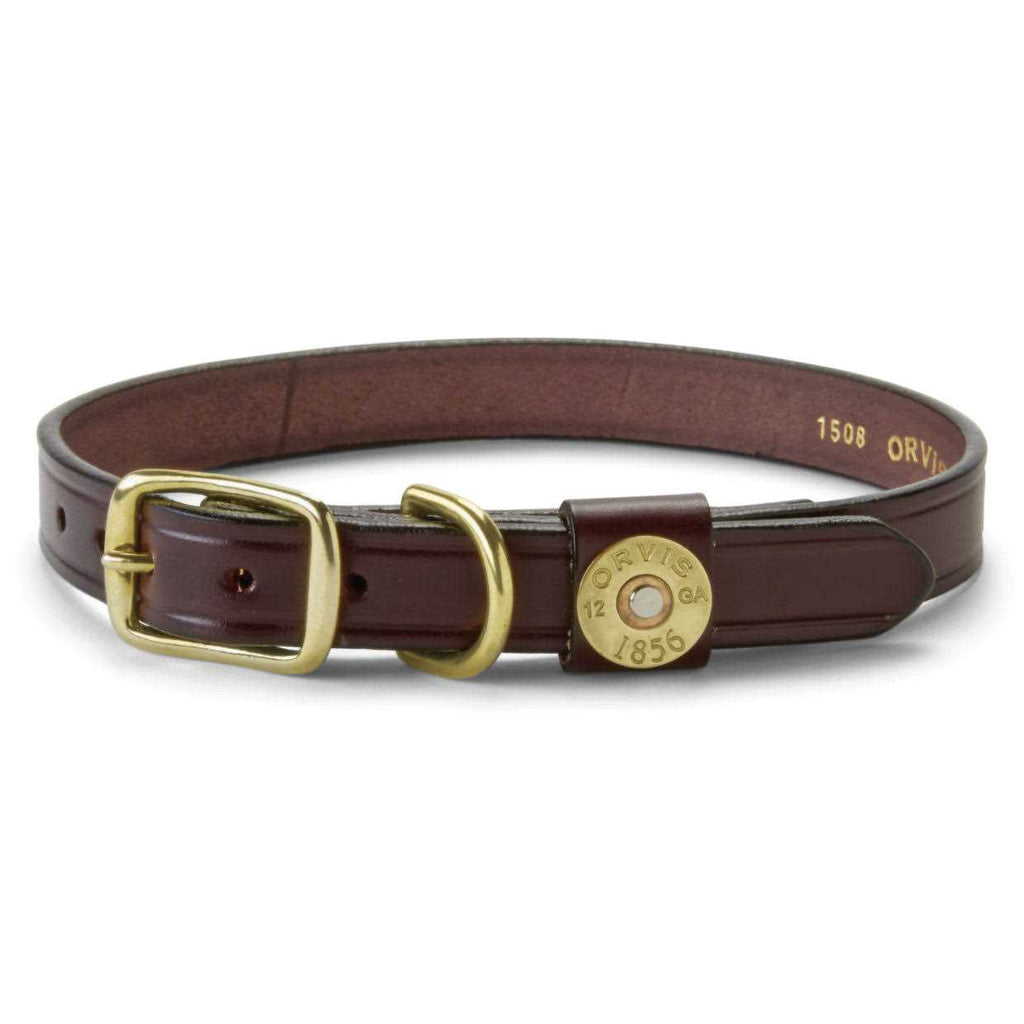 Dog Collar and Leash N59994