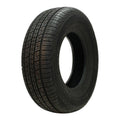 All Season P255/60R19 109H Tire P6250