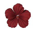 Edible Sugar Paste Hibiscus Flower Set of 3 Deep Red E583