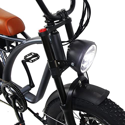 Dual Motor 2000W Retro Two-Person Electric Bicycle, 7-Speed 20" Tire 48V 18Ah E-Bike with Rear Turn Signal Y869381