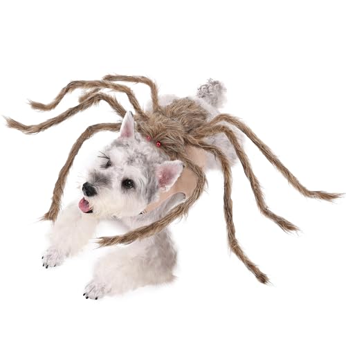 Halloween Spider Costume for Dog Cat, Black, 8 Legs, Medium E888578