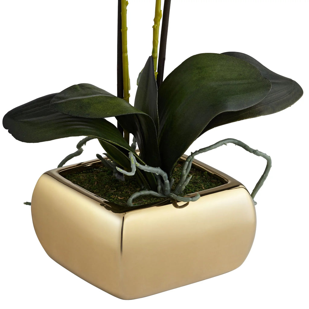 White Artificial Orchid in Gold Ceramic Pot 22" V976