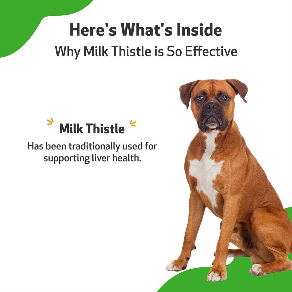 Milk Thistle for Dogs L29519