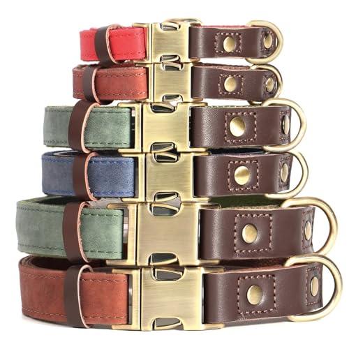 Brown Leather Dog Collar with Quick Release Metal Buckle N646