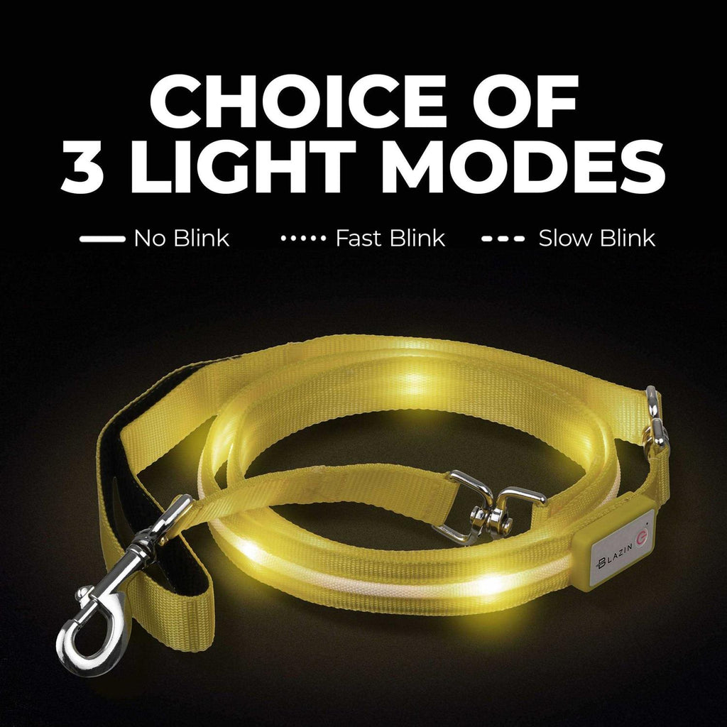 LED USB Rechargeable Dog Leash Y581774