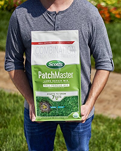4.75 lbs. Tall Fescue Grass Seed, Fertilizer, and Mulch Mix V59246