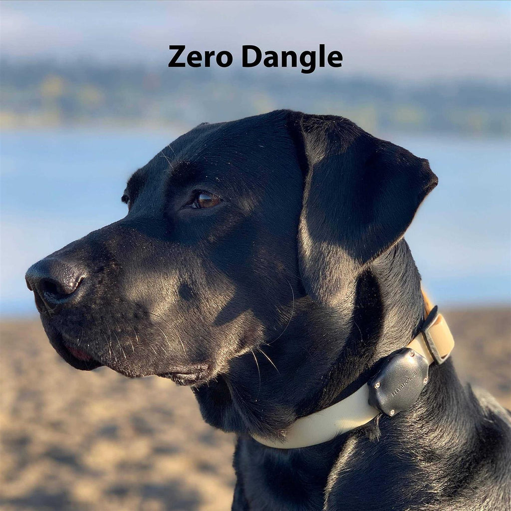 Waterproof AirTag Dog Collar Mount H772