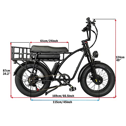 Dual Motor 2000W Retro Two-Person Electric Bicycle, 7-Speed 20" Tire 48V 18Ah E-Bike with Rear Turn Signal Y869381
