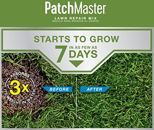 4.75 lbs. Tall Fescue Grass Seed, Fertilizer, and Mulch Mix V59246