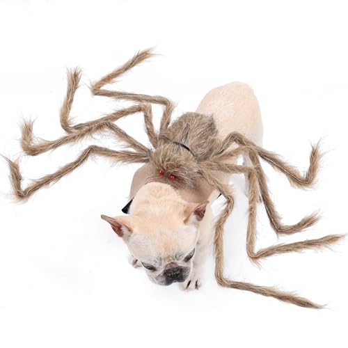 Halloween Spider Costume for Dog Cat, Black, 8 Legs, Medium E888578