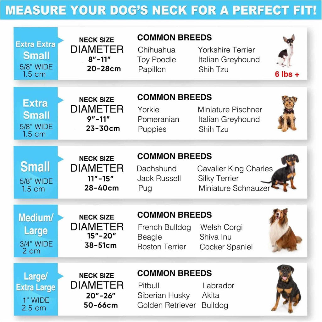 Reflective Dog Collar Small M922795